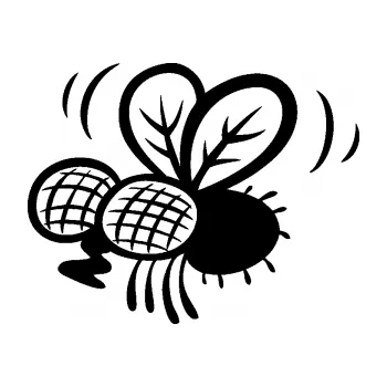 Samolepící dekorace SAMOLEPKA Moucha 002 levá (01 - černá) NA AUTO, NÁLEPKA, FÓLIE, POLEP, TUNING, VLASTNÍ TEXT, TISK, AUTOSAMOLEPKY.cz, POLEPY, OBRÁZEK, LOGO, SAMOLEPKY