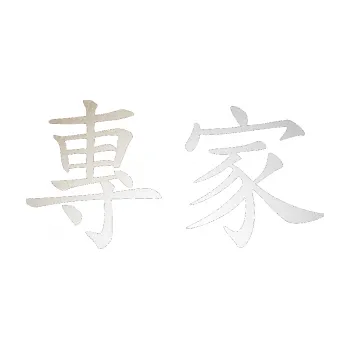 Polep vozidla SAMOLEPKA Čínský znak Expert (82 - odrazková reflexní bílá) NA AUTO, NÁLEPKA, FÓLIE, POLEP, TUNING, VLASTNÍ TEXT, TISK, AUTOSAMOLEPKY.cz, POLEPY, OBRÁZEK, LOGO, SAMOLEPKY