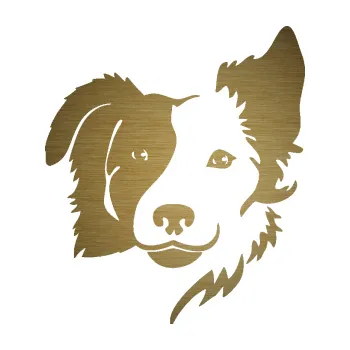 Polep vozidla Pes 099 pravá Border kolie (64 - škrábaný kov zlatý) SAMOLEPKA NA AUTO, NÁLEPKA, FÓLIE, POLEP, TUNING, VLASTNÍ TEXT, TISK, AUTOSAMOLEPKY.cz, POLEPY, OBRÁZEK, LOGO, 3D STICKERS