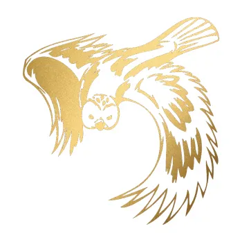 Samolepicí dekorace na vozidlo Predators 085 levá sova (43 - zlatá metalíza) SAMOLEPKA NA AUTO, NÁLEPKA, FÓLIE, POLEP, TUNING, VLASTNÍ TEXT, TISK, AUTOSAMOLEPKY.cz, POLEPY, OBRÁZEK, LOGO, 3D STICKERS