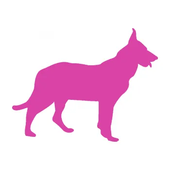 Polep vozidla SAMOLEPKA Pes 079 pravá Německý ovčák (16 - růžová) NA AUTO, NÁLEPKA, FÓLIE, POLEP, TUNING, VLASTNÍ TEXT, TISK, AUTOSAMOLEPKY.cz, POLEPY, OBRÁZEK, LOGO, SAMOLEPKY