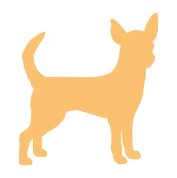 Polep vozidla SAMOLEPKA Pes 137 pravá čivava (08 - béžová) NA AUTO, NÁLEPKA, FÓLIE, POLEP, TUNING, VLASTNÍ TEXT, TISK, AUTOSAMOLEPKY.cz, POLEPY, OBRÁZEK, LOGO, SAMOLEPKY