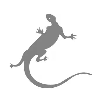 Samolepící dekorace SAMOLEPKA Ještěrka 004 pravá (17 - šedá) NA AUTO, NÁLEPKA, FÓLIE, POLEP, TUNING, VLASTNÍ TEXT, TISK, AUTOSAMOLEPKY.cz, POLEPY, OBRÁZEK, LOGO, SAMOLEPKY