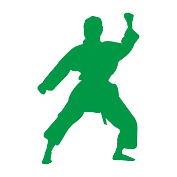 Polep vozidla Karate 011 pravá (12 - zelená) SAMOLEPKA NA AUTO, NÁLEPKA, FÓLIE, POLEP, TUNING, VLASTNÍ TEXT, TISK, AUTOSAMOLEPKY.cz, POLEPY, OBRÁZEK, LOGO, 3D STICKERS