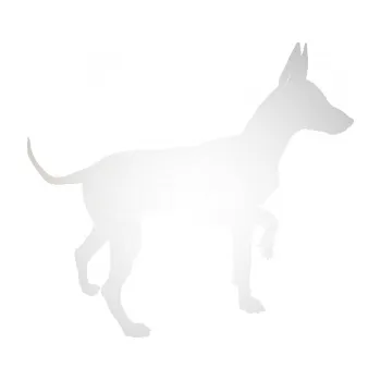 Polep vozidla SAMOLEPKA Pes 093 pravá Pražský krysařík (82 - odrazková reflexní bílá) NA AUTO, NÁLEPKA, FÓLIE, POLEP, TUNING, VLASTNÍ TEXT, TISK, AUTOSAMOLEPKY.cz, POLEPY, OBRÁZEK, LOGO, SAMOLEPKY