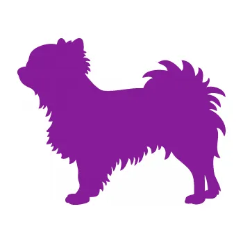 Polep vozidla SAMOLEPKA Pes 156 levá čivava (14 - fialová) NA AUTO, NÁLEPKA, FÓLIE, POLEP, TUNING, VLASTNÍ TEXT, TISK, AUTOSAMOLEPKY.cz, POLEPY, OBRÁZEK, LOGO, SAMOLEPKY