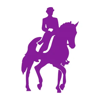 Samolepící dekorace Kůň drezura pravá (14 - fialová) SAMOLEPKA NA AUTO, NÁLEPKA, FÓLIE, POLEP, TUNING, VLASTNÍ TEXT, TISK, AUTOSAMOLEPKY.cz, POLEPY, OBRÁZEK, LOGO, 3D STICKERS