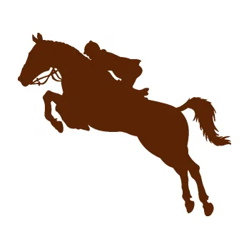 Samolepící dekorace SAMOLEPKA Kůň 076 levá parkur (15 - hnědá) NA AUTO, NÁLEPKA, FÓLIE, POLEP, TUNING, VLASTNÍ TEXT, TISK, AUTOSAMOLEPKY.cz, POLEPY, OBRÁZEK, LOGO, SAMOLEPKY