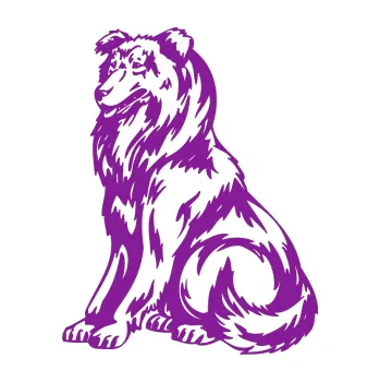 samolepka Pes 037 levá Kolie (14 - fialová) SAMOLEPKA NA AUTO, NÁLEPKA, FÓLIE, POLEP, TUNING, VLASTNÍ TEXT, TISK, AUTOSAMOLEPKY.cz, POLEPY, OBRÁZEK, LOGO, 3D STICKERS