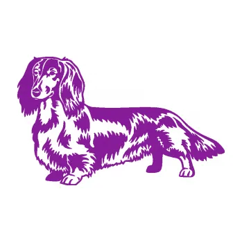 Polep vozidla SAMOLEPKA Pes 158 levá dlouhosrstý jezevčík (14 - fialová) NA AUTO, NÁLEPKA, FÓLIE, POLEP, TUNING, VLASTNÍ TEXT, TISK, AUTOSAMOLEPKY.cz, POLEPY, OBRÁZEK, LOGO, SAMOLEPKY