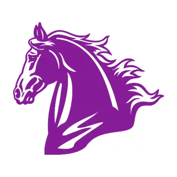 Samolepící dekorace Kůň 058 levá hlava s hřívou (14 - fialová) SAMOLEPKA NA AUTO, NÁLEPKA, FÓLIE, POLEP, TUNING, VLASTNÍ TEXT, TISK, AUTOSAMOLEPKY.cz, POLEPY, OBRÁZEK, LOGO, 3D STICKERS