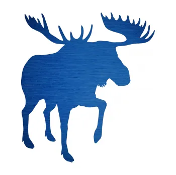 Samolepící dekorace SAMOLEPKA Los 003 pravá (65 - škrábaný kov modrý) NA AUTO, NÁLEPKA, FÓLIE, POLEP, TUNING, VLASTNÍ TEXT, TISK, AUTOSAMOLEPKY.cz, POLEPY, OBRÁZEK, LOGO, SAMOLEPKY