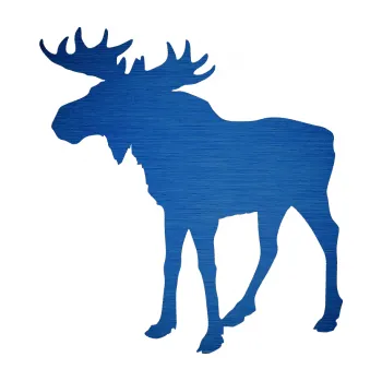 Samolepící dekorace SAMOLEPKA Los 002 levá (65 - škrábaný kov modrý) NA AUTO, NÁLEPKA, FÓLIE, POLEP, TUNING, VLASTNÍ TEXT, TISK, AUTOSAMOLEPKY.cz, POLEPY, OBRÁZEK, LOGO, SAMOLEPKY