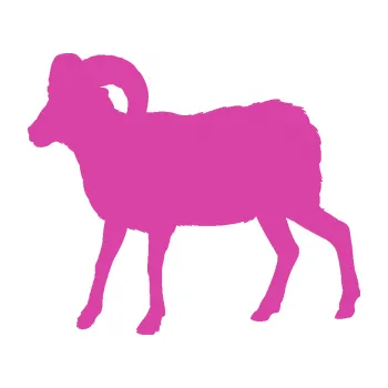 Samolepící dekorace Kozel 004 levá (16 - růžová) SAMOLEPKA NA AUTO, NÁLEPKA, FÓLIE, POLEP, TUNING, VLASTNÍ TEXT, TISK, AUTOSAMOLEPKY.cz, POLEPY, OBRÁZEK, LOGO, 3D STICKERS