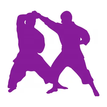 Polep vozidla Karate 013 pravá souboj (14 - fialová) SAMOLEPKA NA AUTO, NÁLEPKA, FÓLIE, POLEP, TUNING, VLASTNÍ TEXT, TISK, AUTOSAMOLEPKY.cz, POLEPY, OBRÁZEK, LOGO, 3D STICKERS