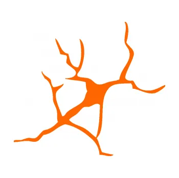 Samolepící dekorace Prasklina 004 (73 - Fluorescentní oranžová) SAMOLEPKA NA AUTO, NÁLEPKA, FÓLIE, POLEP, TUNING, VLASTNÍ TEXT, TISK, AUTOSAMOLEPKY.cz, POLEPY, OBRÁZEK, LOGO, 3D STICKERS