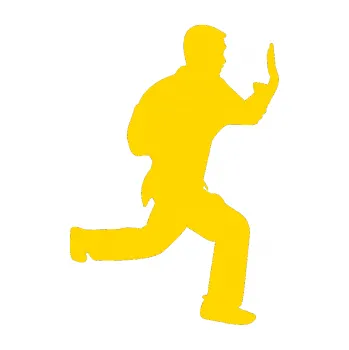 Polep vozidla Karate 002 pravá (13 - jasně žlutá) SAMOLEPKA NA AUTO, NÁLEPKA, FÓLIE, POLEP, TUNING, VLASTNÍ TEXT, TISK, AUTOSAMOLEPKY.cz, POLEPY, OBRÁZEK, LOGO, 3D STICKERS