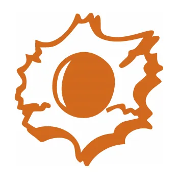 Samolepicí dekorace na vozidlo Průstřel 001 levá (26 - oříšková) SAMOLEPKA NA AUTO, NÁLEPKA, FÓLIE, POLEP, TUNING, VLASTNÍ TEXT, TISK, AUTOSAMOLEPKY.cz, POLEPY, OBRÁZEK, LOGO, 3D STICKERS