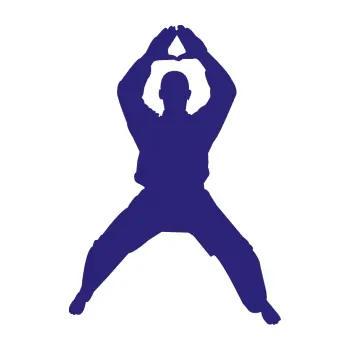 Polep vozidla Karate 003 pravá (22 - střední modrá) SAMOLEPKA NA AUTO, NÁLEPKA, FÓLIE, POLEP, TUNING, VLASTNÍ TEXT, TISK, AUTOSAMOLEPKY.cz, POLEPY, OBRÁZEK, LOGO, 3D STICKERS