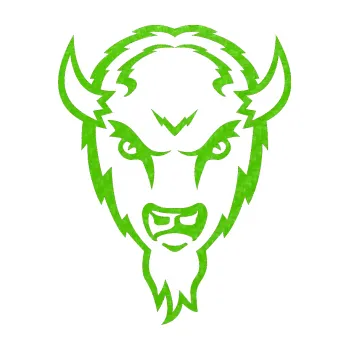 Samolepící dekorace Buvol (58 - 3D karbon zelený kawasaki) SAMOLEPKA NA AUTO, NÁLEPKA, FÓLIE, POLEP, TUNING, VLASTNÍ TEXT, TISK, AUTOSAMOLEPKY.cz, POLEPY, OBRÁZEK, LOGO, 3D STICKERS