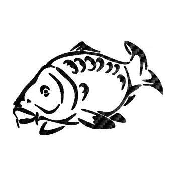 Polep vozidla SAMOLEPKA Kapr 006 levá (50 - 3D karbon černý) NA AUTO, NÁLEPKA, FÓLIE, POLEP, TUNING, VLASTNÍ TEXT, TISK, AUTOSAMOLEPKY.cz, POLEPY, OBRÁZEK, LOGO, SAMOLEPKY