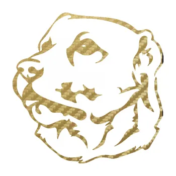 Polep vozidla Pes 104 levá Labrador (59 - 3D karbon zlatý) SAMOLEPKA NA AUTO, NÁLEPKA, FÓLIE, POLEP, TUNING, VLASTNÍ TEXT, TISK, AUTOSAMOLEPKY.cz, POLEPY, OBRÁZEK, LOGO, 3D STICKERS