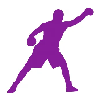 Samolepicí dekorace na vozidlo Boxer 002 pravá (14 - fialová) SAMOLEPKA NA AUTO, NÁLEPKA, FÓLIE, POLEP, TUNING, VLASTNÍ TEXT, TISK, AUTOSAMOLEPKY.cz, POLEPY, OBRÁZEK, LOGO, 3D STICKERS