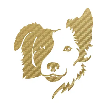 Polep vozidla Pes 099 pravá Border kolie (59 - 3D karbon zlatý) SAMOLEPKA NA AUTO, NÁLEPKA, FÓLIE, POLEP, TUNING, VLASTNÍ TEXT, TISK, AUTOSAMOLEPKY.cz, POLEPY, OBRÁZEK, LOGO, 3D STICKERS