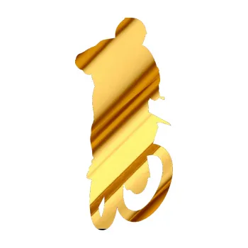 Samolepící dekorace Motorka 018 pravá motokros (81 - chrom fólie zlatá zrcadlová) SAMOLEPKA NA AUTO, NÁLEPKA, FÓLIE, POLEP, TUNING, VLASTNÍ TEXT, TISK, AUTOSAMOLEPKY.cz, POLEPY, OBRÁZEK, LOGO, 3D STICKERS