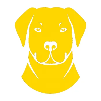 Polep vozidla Pes 071 Pitbull (13 - jasně žlutá) SAMOLEPKA NA AUTO, NÁLEPKA, FÓLIE, POLEP, TUNING, VLASTNÍ TEXT, TISK, AUTOSAMOLEPKY.cz, POLEPY, OBRÁZEK, LOGO, 3D STICKERS