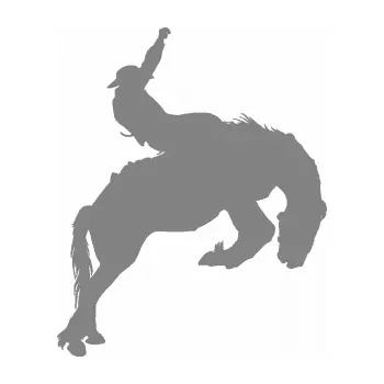 Samolepící dekorace SAMOLEPKA Kovboj 001 pravá rodeo na koni (17 - šedá) NA AUTO, NÁLEPKA, FÓLIE, POLEP, TUNING, VLASTNÍ TEXT, TISK, AUTOSAMOLEPKY.cz, POLEPY, OBRÁZEK, LOGO, SAMOLEPKY