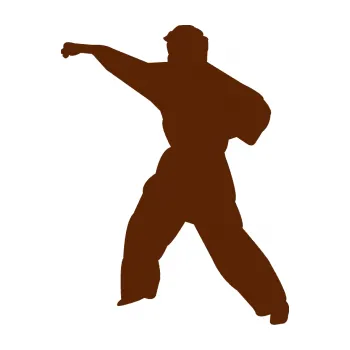 Polep vozidla Karate 010 levá (15 - hnědá) SAMOLEPKA NA AUTO, NÁLEPKA, FÓLIE, POLEP, TUNING, VLASTNÍ TEXT, TISK, AUTOSAMOLEPKY.cz, POLEPY, OBRÁZEK, LOGO, 3D STICKERS