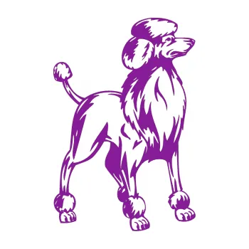 Polep vozidla SAMOLEPKA Pes 014 pravá Pudl (14 - fialová) NA AUTO, NÁLEPKA, FÓLIE, POLEP, TUNING, VLASTNÍ TEXT, TISK, AUTOSAMOLEPKY.cz, POLEPY, OBRÁZEK, LOGO, SAMOLEPKY