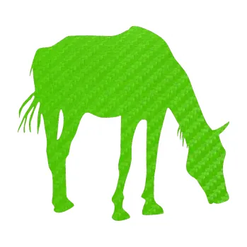 Samolepící dekorace SAMOLEPKA Kůň 008 pravá (58 - 3D karbon zelený kawasaki) NA AUTO, NÁLEPKA, FÓLIE, POLEP, TUNING, VLASTNÍ TEXT, TISK, AUTOSAMOLEPKY.cz, POLEPY, OBRÁZEK, LOGO, SAMOLEPKY