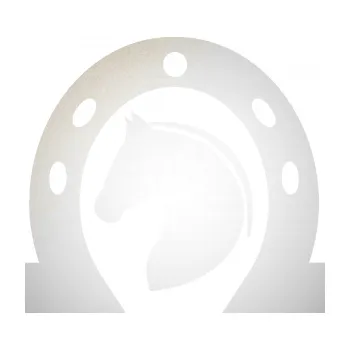 Samolepící dekorace SAMOLEPKA Kůň 034 levá podkova (82 - odrazková reflexní bílá) NA AUTO, NÁLEPKA, FÓLIE, POLEP, TUNING, VLASTNÍ TEXT, TISK, AUTOSAMOLEPKY.cz, POLEPY, OBRÁZEK, LOGO, SAMOLEPKY