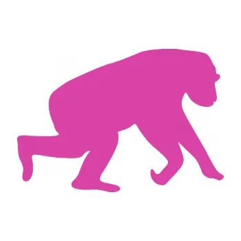 Samolepící dekorace SAMOLEPKA Opice 001 pravá (16 - růžová) NA AUTO, NÁLEPKA, FÓLIE, POLEP, TUNING, VLASTNÍ TEXT, TISK, AUTOSAMOLEPKY.cz, POLEPY, OBRÁZEK, LOGO, SAMOLEPKY