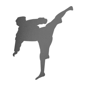 Polep vozidla Karate 009 pravá (41 - grafitová metalíza) SAMOLEPKA NA AUTO, NÁLEPKA, FÓLIE, POLEP, TUNING, VLASTNÍ TEXT, TISK, AUTOSAMOLEPKY.cz, POLEPY, OBRÁZEK, LOGO, 3D STICKERS