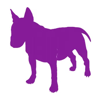 Polep vozidla SAMOLEPKA Pes 090 levá Bulteriér (14 - fialová) NA AUTO, NÁLEPKA, FÓLIE, POLEP, TUNING, VLASTNÍ TEXT, TISK, AUTOSAMOLEPKY.cz, POLEPY, OBRÁZEK, LOGO, SAMOLEPKY