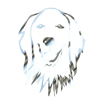 Polep vozidla SAMOLEPKA Pes 085 levá Retrívr (80 - chrom fólie stříbrná zrcadlová) NA AUTO, NÁLEPKA, FÓLIE, POLEP, TUNING, VLASTNÍ TEXT, TISK, AUTOSAMOLEPKY.cz, POLEPY, OBRÁZEK, LOGO, SAMOLEPKY