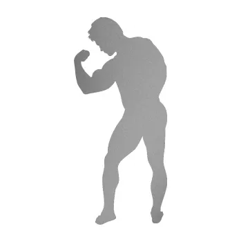 Polep vozidla Kulturista 005 levá (42 - stříbrná metalíza) SAMOLEPKA NA AUTO, NÁLEPKA, FÓLIE, POLEP, TUNING, VLASTNÍ TEXT, TISK, AUTOSAMOLEPKY.cz, POLEPY, OBRÁZEK, LOGO, 3D STICKERS