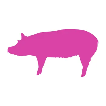 Samolepící dekorace Prase 002 levá (16 - růžová) SAMOLEPKA NA AUTO, NÁLEPKA, FÓLIE, POLEP, TUNING, VLASTNÍ TEXT, TISK, AUTOSAMOLEPKY.cz, POLEPY, OBRÁZEK, LOGO, 3D STICKERS