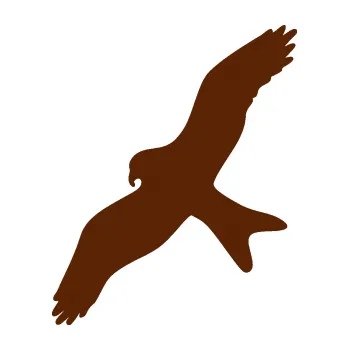 Samolepící dekorace Dravec na sklo 002 levá (15 - hnědá) SAMOLEPKA NA AUTO, NÁLEPKA, FÓLIE, POLEP, TUNING, VLASTNÍ TEXT, TISK, AUTOSAMOLEPKY.cz, POLEPY, OBRÁZEK, LOGO, 3D STICKERS