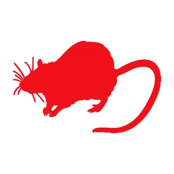 Samolepící dekorace SAMOLEPKA Krysa 002 levá (10 - červená) NA AUTO, NÁLEPKA, FÓLIE, POLEP, TUNING, VLASTNÍ TEXT, TISK, AUTOSAMOLEPKY.cz, POLEPY, OBRÁZEK, LOGO, SAMOLEPKY