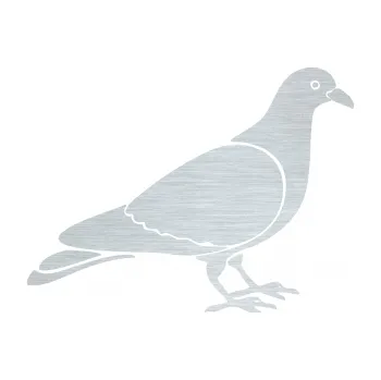 Samolepicí dekorace na vozidlo Holub 002 pravá (61 - škrábaný hliník) SAMOLEPKA NA AUTO, NÁLEPKA, FÓLIE, POLEP, TUNING, VLASTNÍ TEXT, TISK, AUTOSAMOLEPKY.cz, POLEPY, OBRÁZEK, LOGO, 3D STICKERS