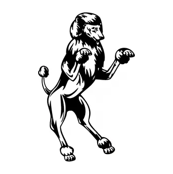 Polep vozidla SAMOLEPKA Pes 023 pravá Pudl (01 - černá) NA AUTO, NÁLEPKA, FÓLIE, POLEP, TUNING, VLASTNÍ TEXT, TISK, AUTOSAMOLEPKY.cz, POLEPY, OBRÁZEK, LOGO, SAMOLEPKY