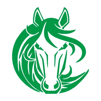 Samolepící dekorace Kůň 043 levá (12 - zelená) SAMOLEPKA NA AUTO, NÁLEPKA, FÓLIE, POLEP, TUNING, VLASTNÍ TEXT, TISK, AUTOSAMOLEPKY.cz, POLEPY, OBRÁZEK, LOGO, 3D STICKERS