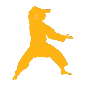 Polep vozidla Karate 006 pravá (21 - světle oranžová) SAMOLEPKA NA AUTO, NÁLEPKA, FÓLIE, POLEP, TUNING, VLASTNÍ TEXT, TISK, AUTOSAMOLEPKY.cz, POLEPY, OBRÁZEK, LOGO, 3D STICKERS