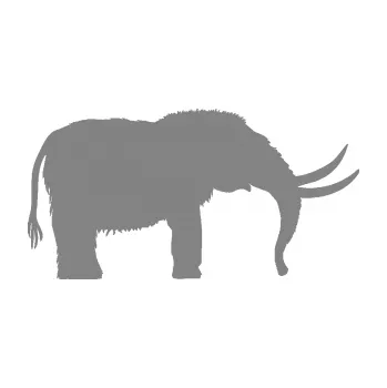 Samolepící dekorace Mamut 001 pravá (17 - šedá) SAMOLEPKA NA AUTO, NÁLEPKA, FÓLIE, POLEP, TUNING, VLASTNÍ TEXT, TISK, AUTOSAMOLEPKY.cz, POLEPY, OBRÁZEK, LOGO, 3D STICKERS