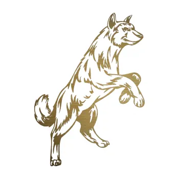 Polep vozidla SAMOLEPKA Pes 025 pravá (64 - škrábaný kov zlatý) NA AUTO, NÁLEPKA, FÓLIE, POLEP, TUNING, VLASTNÍ TEXT, TISK, AUTOSAMOLEPKY.cz, POLEPY, OBRÁZEK, LOGO, SAMOLEPKY