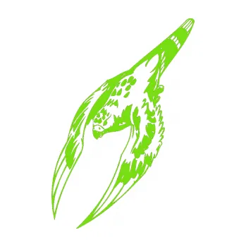 Samolepicí dekorace na vozidlo Predators 063 levá (04 - zelená kawasaki) SAMOLEPKA NA AUTO, NÁLEPKA, FÓLIE, POLEP, TUNING, VLASTNÍ TEXT, TISK, AUTOSAMOLEPKY.cz, POLEPY, OBRÁZEK, LOGO, 3D STICKERS